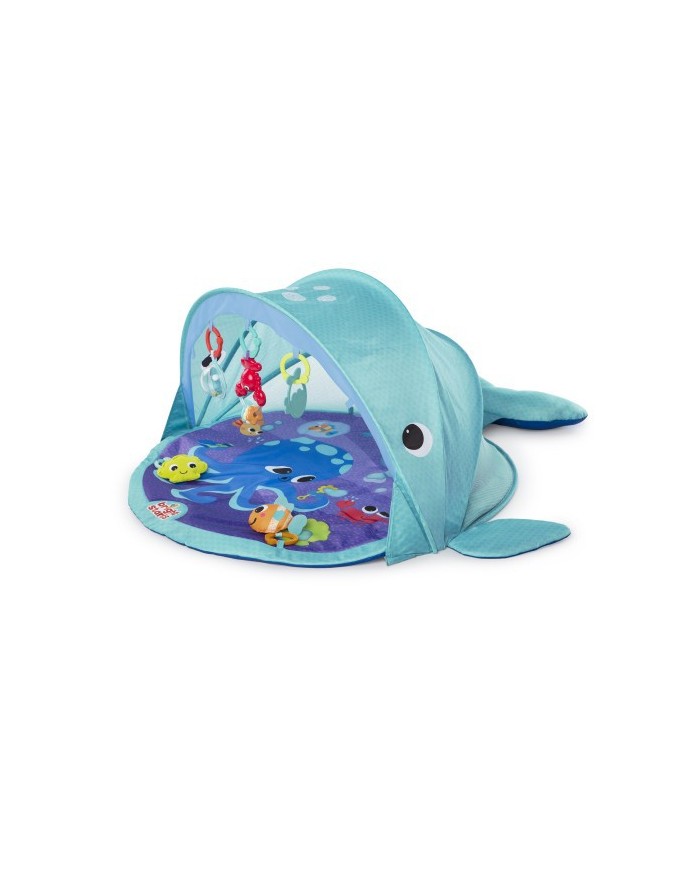Gimnasio Explore & Go Ballena