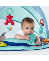 Gimnasio Explore & Go Ballena